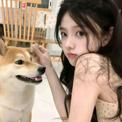萌犬好声音3